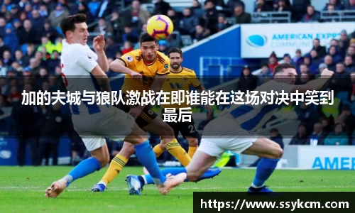 加的夫城与狼队激战在即谁能在这场对决中笑到最后